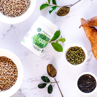 Resistant starch ingredients of Probiotic Foods
