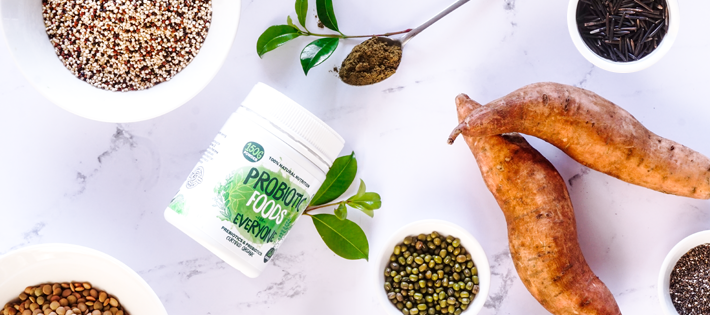Resistant starch ingredients of Probiotic Foods