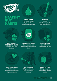 Probiotic Foods Healthy Gut Habits