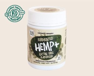 fermented hemp